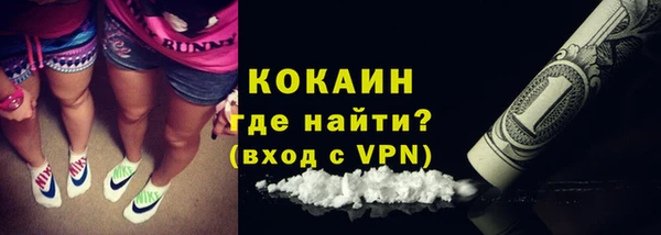 гашик Новодвинск