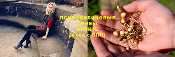 крисы Нягань