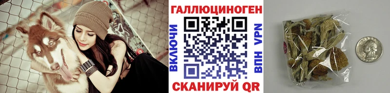 продажа наркотиков  Семилуки  kraken маркетплейс  Галлюциногенные грибы GOLDEN TEACHER 