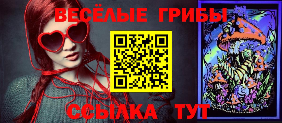 Псилоцибиновые грибы ЛСД  купить наркоту  Семилуки 
