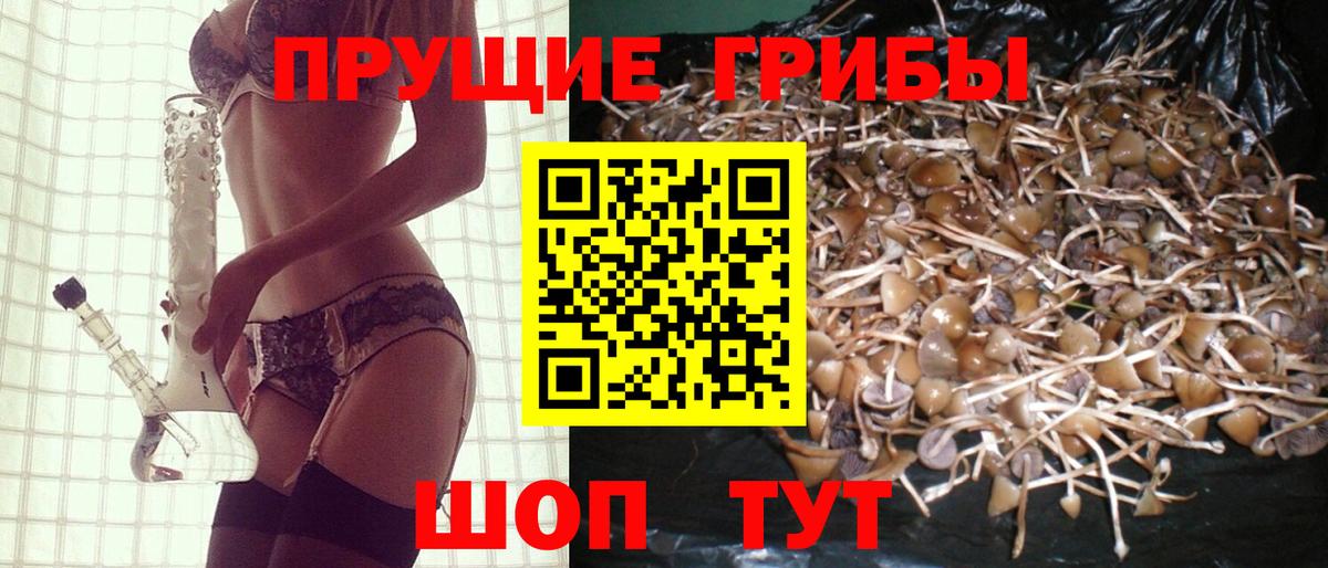 Галлюциногенные грибы прущие грибы Семилуки