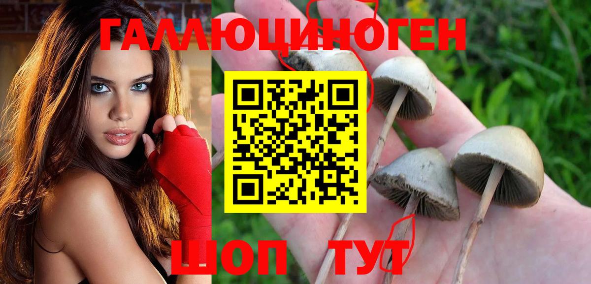 Псилоцибиновые грибы ЛСД Семилуки